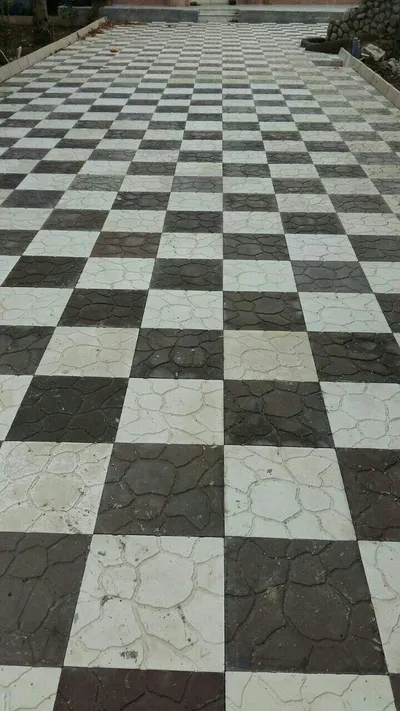 عکس لاشه 32