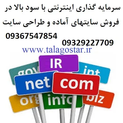 عکس سرمایه گذاری با سود بالا در شغل پرسود اینترنتی 41092