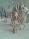 عکس اسب و شیر 11754