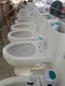 عکس انواع فرنگی 12334