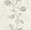 عکس کره 19375