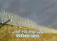 عکس حفاظ شاخ گوزنی 21072