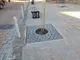 عکس دور درختی 21801