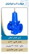 عکس شیر اتش نشانی دفنی 22807