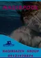عکس ساخت استخر الهیه 23263