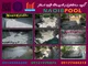 عکس گـروه نقیب اسـتخر 25047