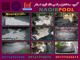 عکس شماره 25048 گـروه-نقیب-اسـتخر