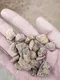 عکس پوکه معدنی مشهد  33384