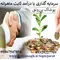 عکس بهترین سرمایه گذاری با سود ماهانه و شراکت در کار پرسود 35498