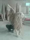 عکس شیر و بال 43115