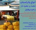 عکس www.clinicbetoniran.ir 43589