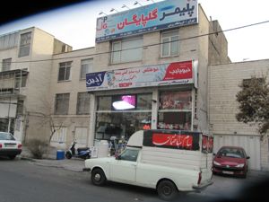 عکس شماره 662 فرجام